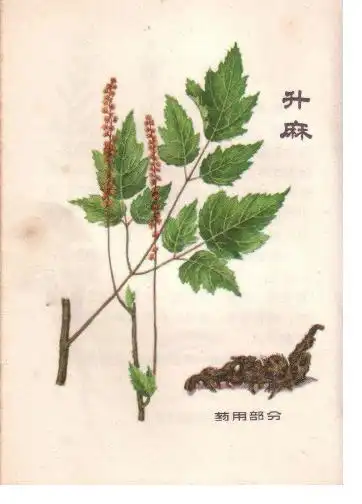 爷孙俩的中医故事每个人都可以读懂的中医九