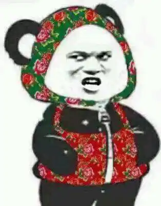 揣兜表情包:今天穿这样 大花棉袄_大花_棉袄_今天_这样表情