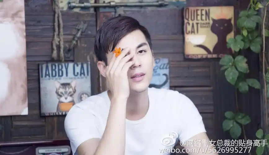 女总裁的贴身高手