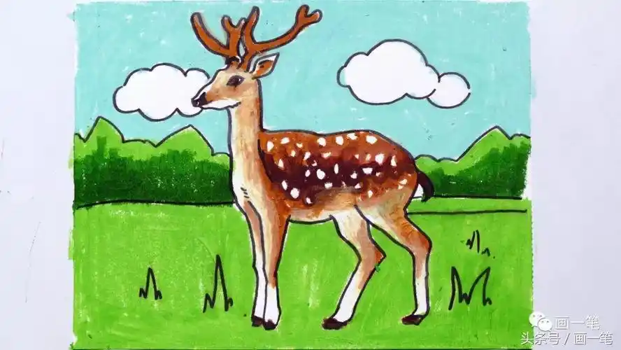 蜡笔画:画画识动物,骆驼