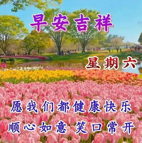 早安暖心的祝福问候语图片早上好温馨问候语暖心早安祝福语大全