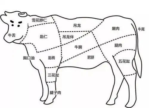【人气"小青龙"都畅吃!】牛身上最嗲的9个部位现场点!8种刺身加持!