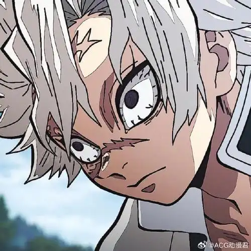 日本粉丝票选【鬼灭之刃最喜欢的柱】排行09    1位05水柱·富冈