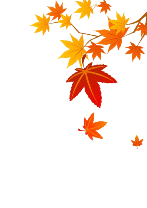 595_842竖版 竖屏gif 动态图 动图