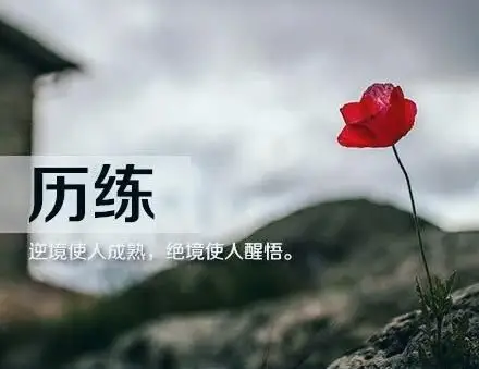 【早读】逆境多一份成熟,绝境是一种醒悟