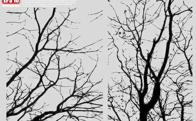 树枝矢量剪影图片