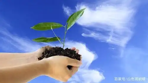 平淡看待生活,总是与世无争的星座,活得自在