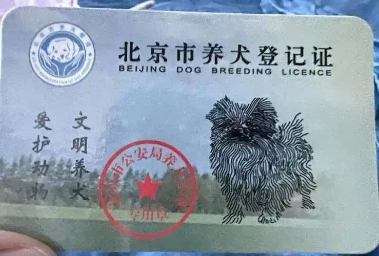 坐标北京大兴办理狗证材料如上图四,1.