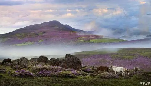 开着汉腾看熊猫,攀西的原始丛林-美姑大风顶