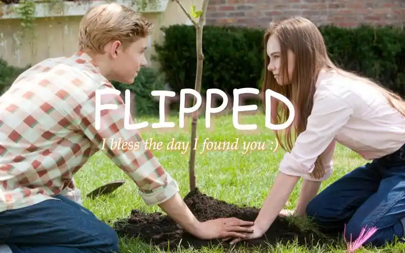 怦然心动|梧桐树种下的那刻,爱意早已在心中生根发芽