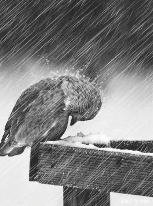 然而一味满足孩子,避免孩子失望痛苦,是对的吗?