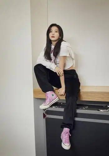 女团认人贴之red velvet