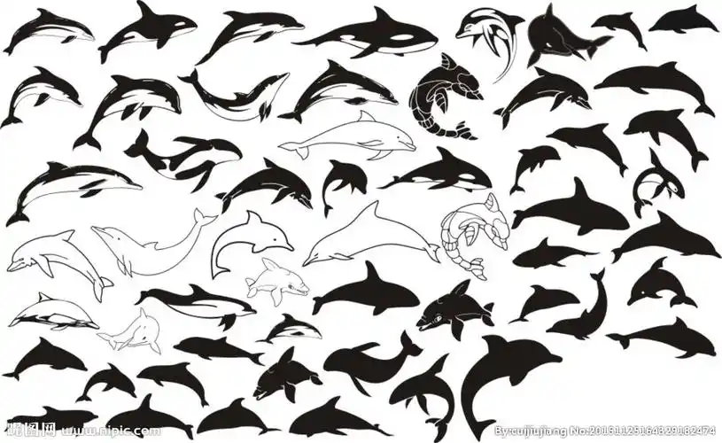 键 词:海豚 虎鲸 生物世界 海洋生物 海豚剪影 动物剪影 海洋动物剪影