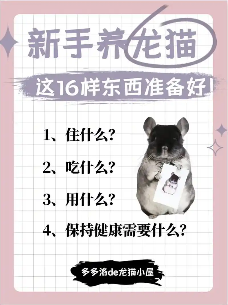 新手养龙猫三,饲养用品清单!- 166住什么? ——笼子: - 抖音