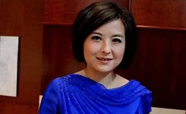 央视主持人张泉灵:这辈子最正确的便是为大18岁的高官老公生儿子