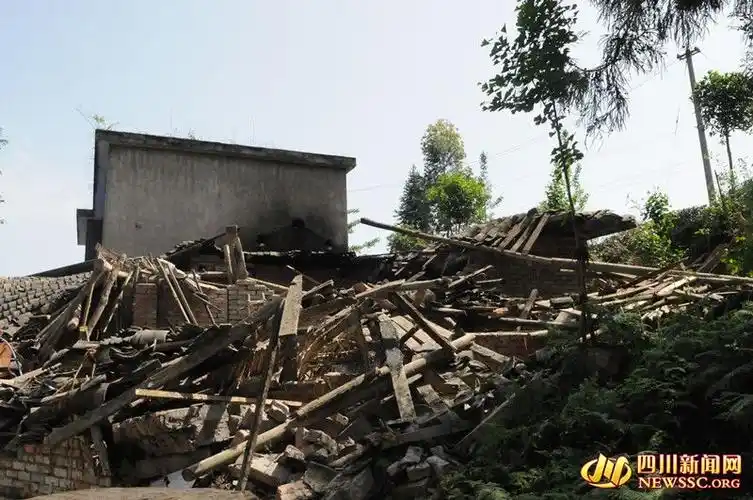名山地震 受灾严重