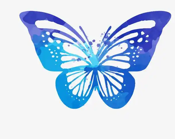 卡通手绘文艺简约蝴蝶动物插画设