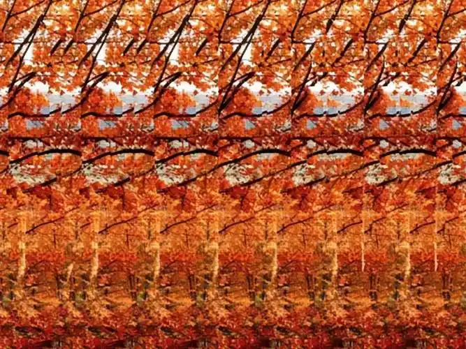 三维立体图如何看?