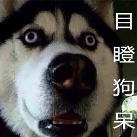 目瞪口呆二哈哈士奇搞怪可爱gif动图_动态图_表情包下载_soogif