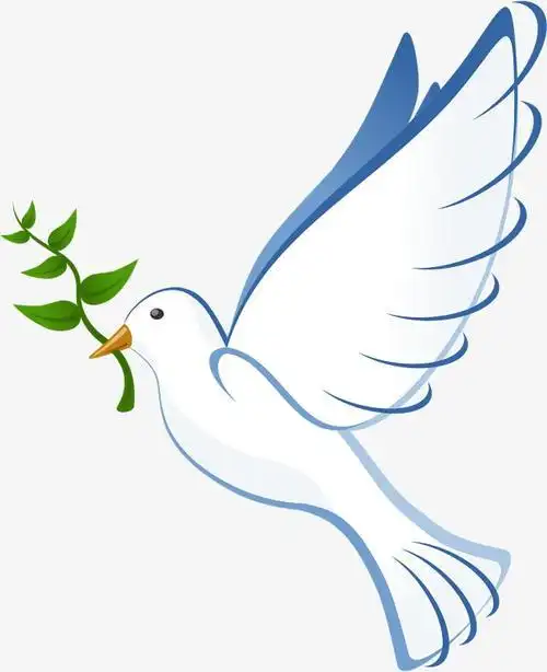 鸽子简笔画怎么画鸽子简笔画简单白鸽简笔画彩色鸽子简笔画画法怎么画