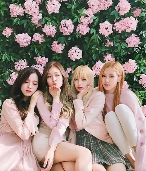 blackpink的成员实际上代表着四种不同类型的女生,相