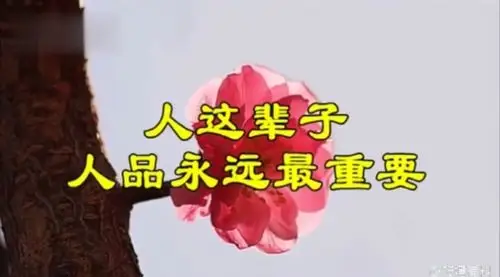 做人,人品永远是第一 .