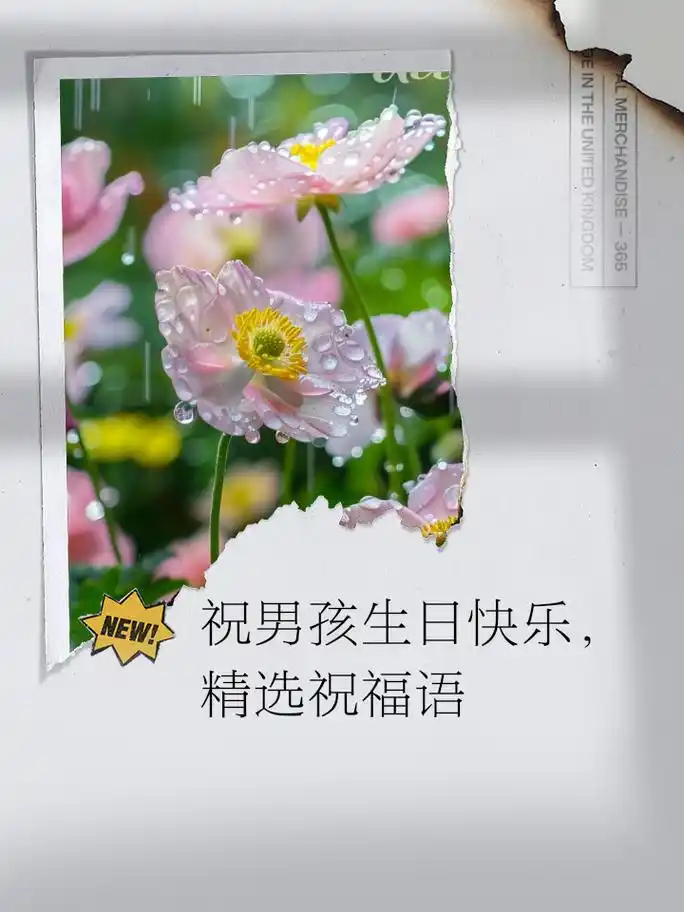 祝男孩生日快乐,精选祝福语