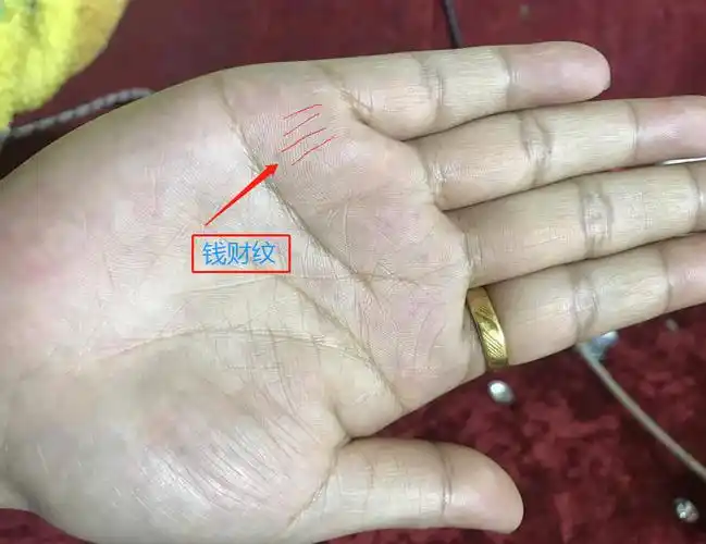 (1)手中有钱财纹