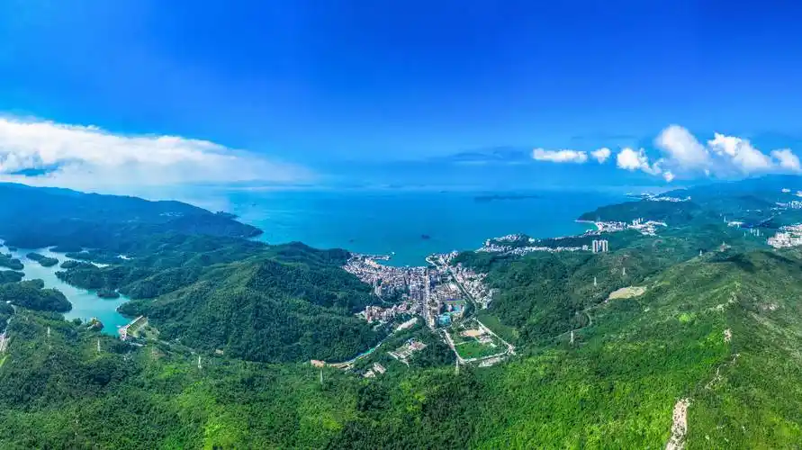 深圳南澳非遗"出圈"!