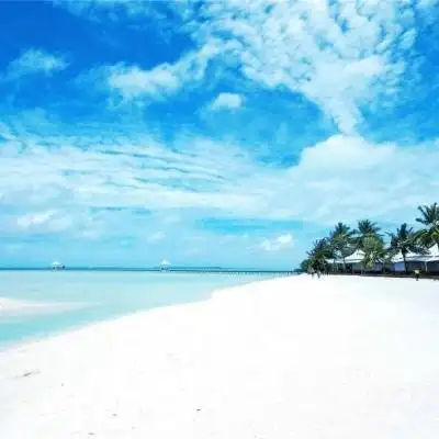 长辈头像大全唯美风景 爸爸妈妈的微信头像海边美景