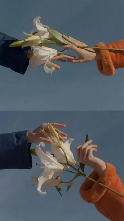 治愈系壁纸:使心情变好的美