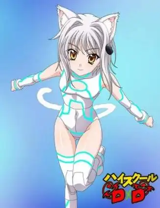 塔城小猫简介_头像图片-《恶魔高校》人物 - 白鸟acg