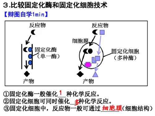 人教版高中生物选修一课题3酵母细胞的固定化5共18张ppt