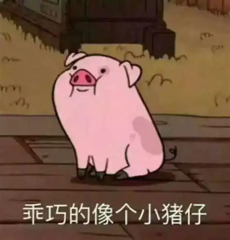 抖音猪洗澡表情包动态图猪洗澡表情包动态图2022已更新今日热点