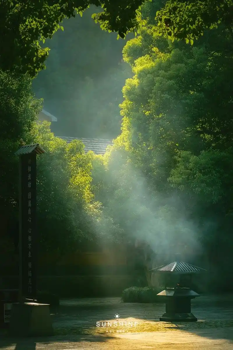 寺庙之美|清晨的净慈寺美得让人心静.清晨入古寺初日照高林 - 抖音