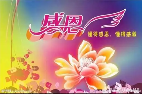 感恩生命中的一切