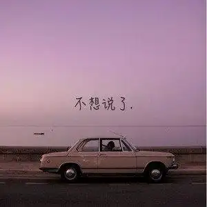 不想说了