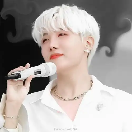 超高校级の银发王子_ 77郑号锡 二传注明花骑遗珠