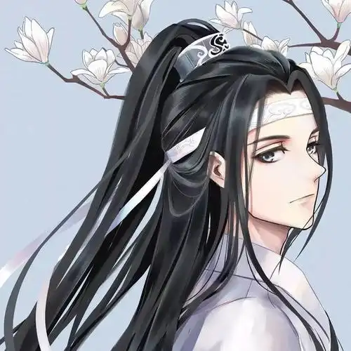 陈情令,魔道祖师动漫头像|163_手机网易网