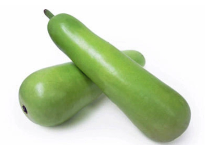 就会发生口干,头昏,这种毒素受热不易破坏分解,苦葫芦瓜中含有碱糖甙