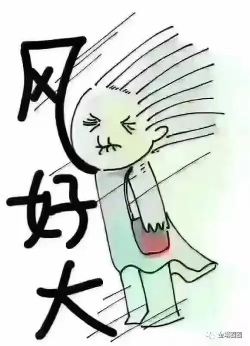 鬼知道金塔人这两天经历了什么没被刮走的出来走一个