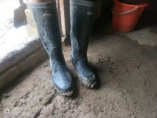 那只漂走了的雨靴