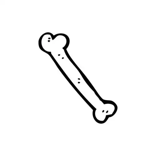 卡通骨,向量,在白色背景上的卡通骨