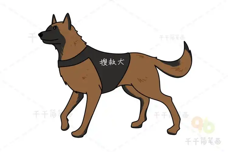 搜救犬简笔画
