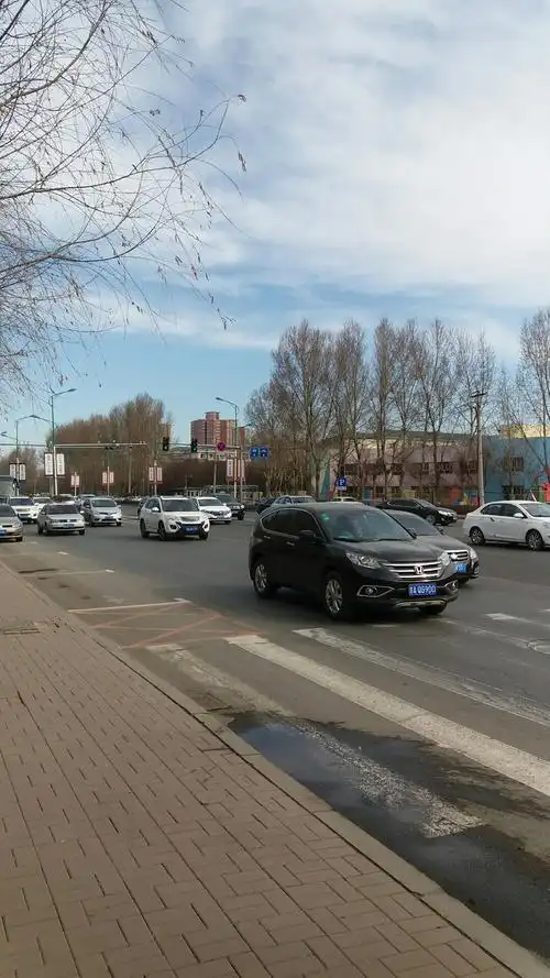 吉林省长春市绿园区安庆路靠近长春汽车经济技术开发区第九中学小学部