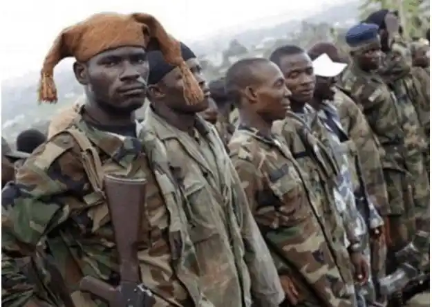 俾格米人是世界上智商最低的人种之一,其次可能就是附近的非洲人了