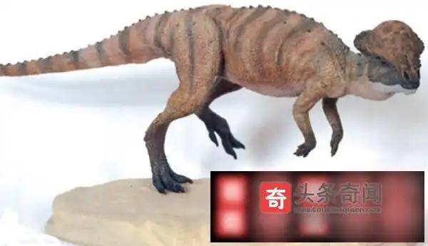 小盾龙北美洲小型食草恐龙长12米早侏罗世