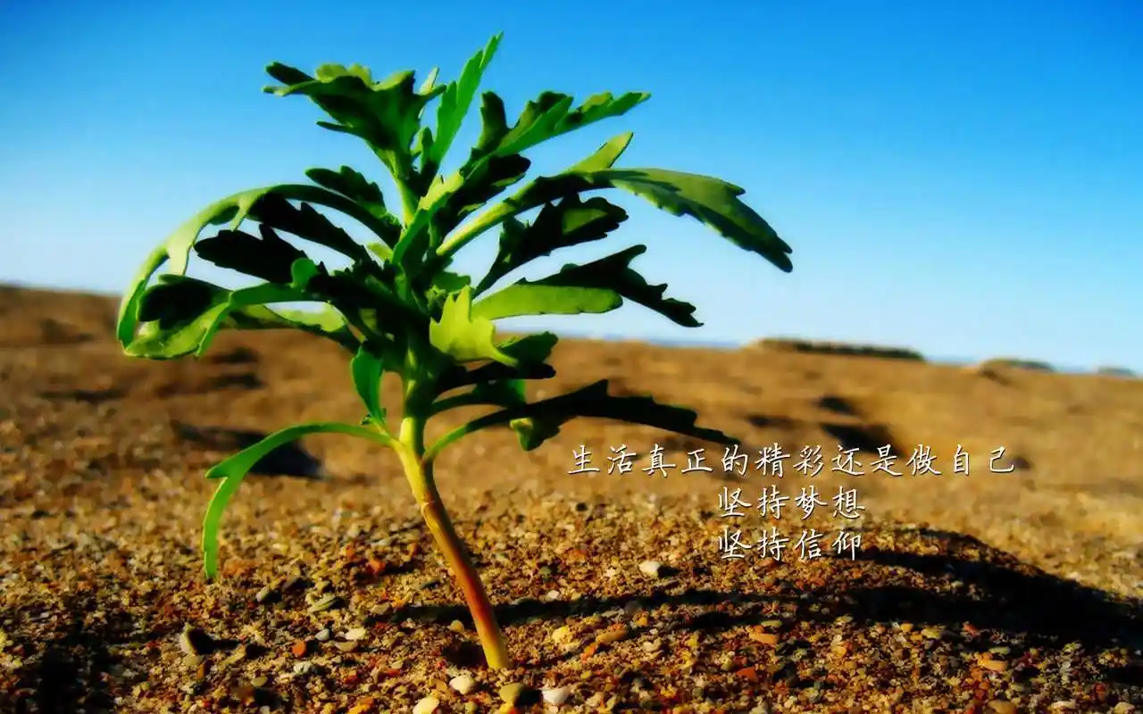 现在的你过得好吗?那么向前走,向前看,生活就这么简单