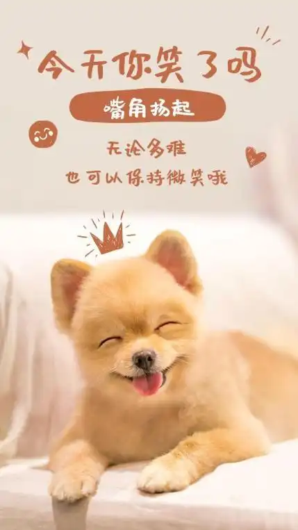 ecnu暖心小贴士——保持微笑助健康_澎湃号·湃客_澎湃新闻-the paper