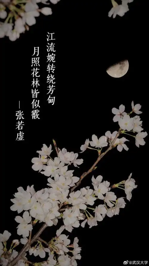 樱花碰上古诗词 唯美春日壁纸上新了|读书_新浪财经_新浪网